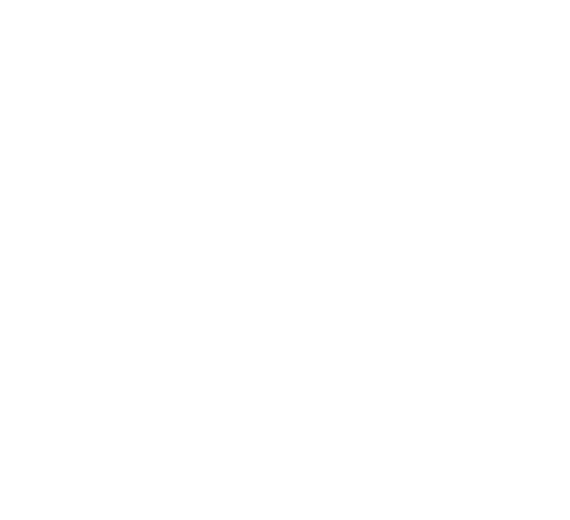 WFS Wealth & Financial Strategies